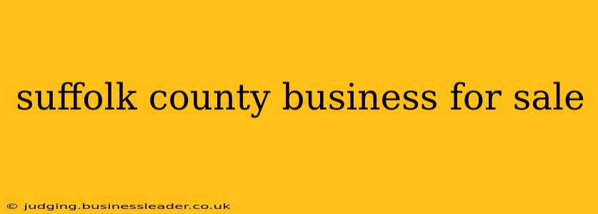 suffolk county business for sale