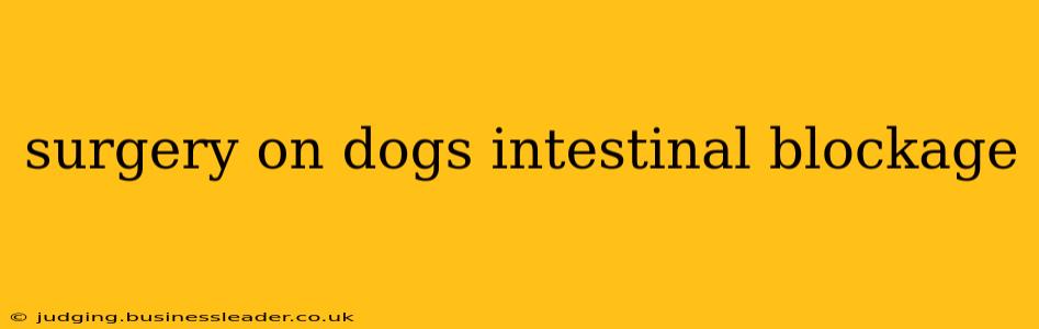 surgery on dogs intestinal blockage