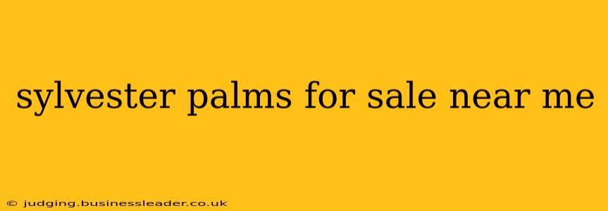 sylvester palms for sale near me