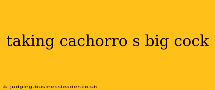 taking cachorro s big cock