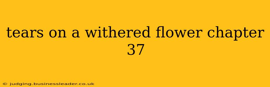 tears on a withered flower chapter 37
