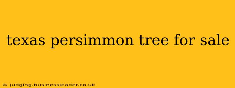 texas persimmon tree for sale
