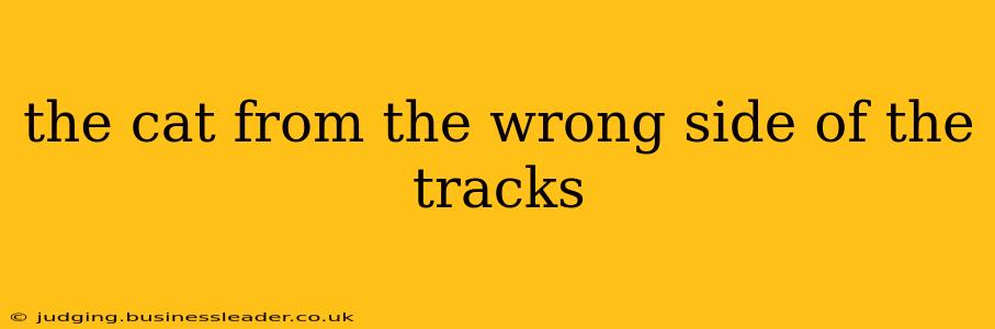 the cat from the wrong side of the tracks