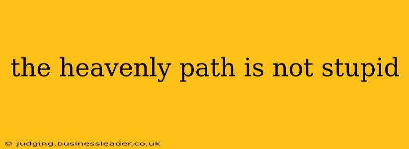 the heavenly path is not stupid