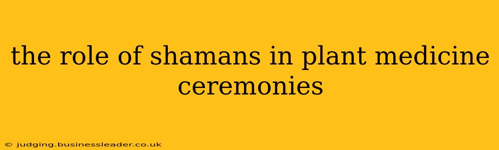 the role of shamans in plant medicine ceremonies