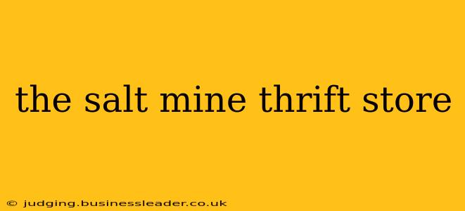 the salt mine thrift store