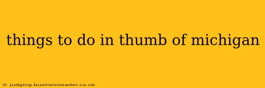 things to do in thumb of michigan