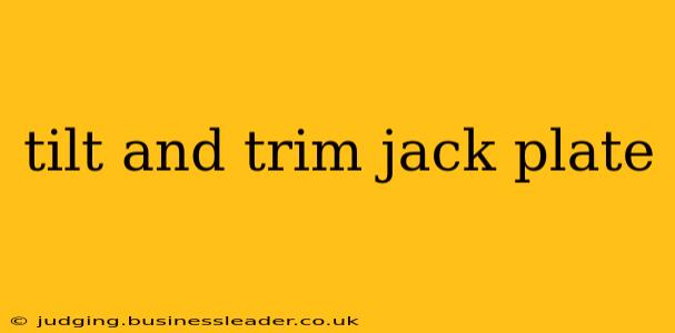 tilt and trim jack plate