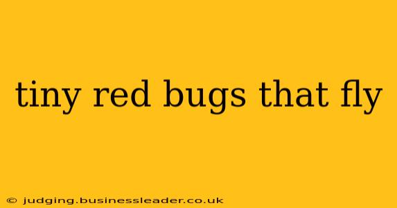 tiny red bugs that fly