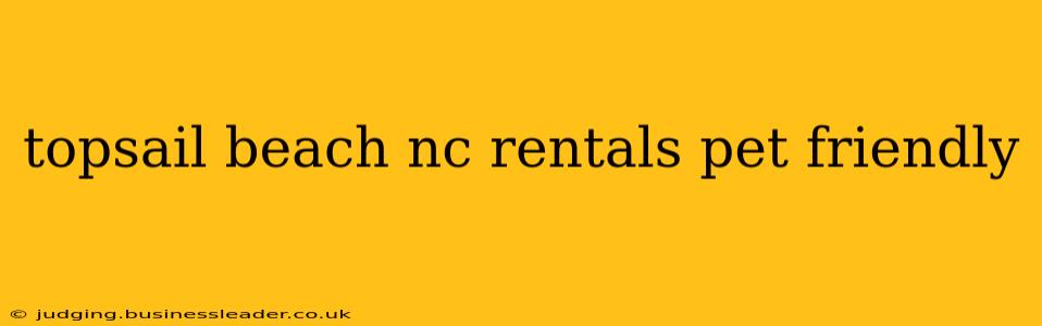 topsail beach nc rentals pet friendly