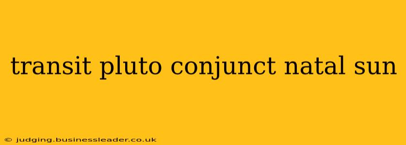 transit pluto conjunct natal sun