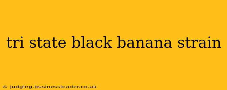 tri state black banana strain
