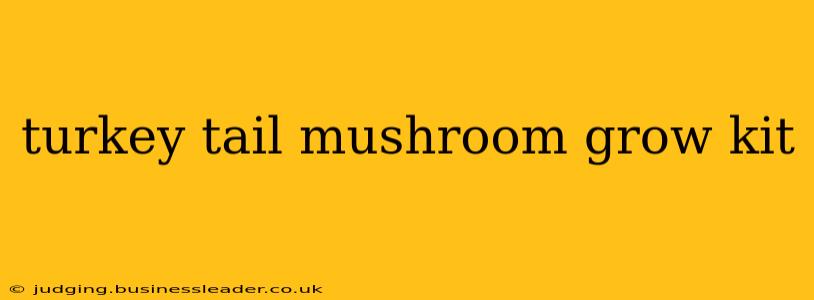 turkey tail mushroom grow kit