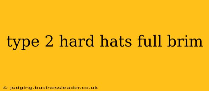 type 2 hard hats full brim