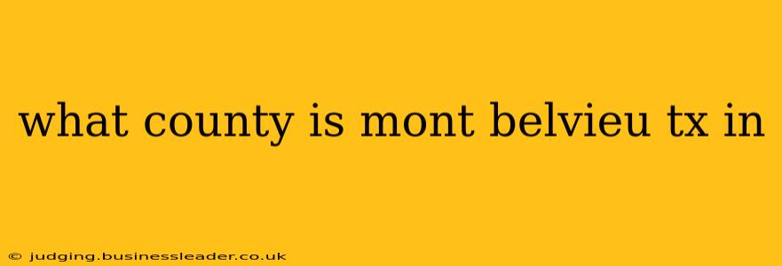 what county is mont belvieu tx in