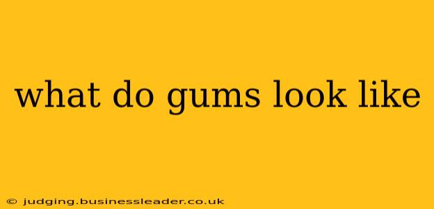 what do gums look like