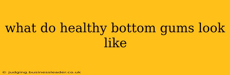 what do healthy bottom gums look like