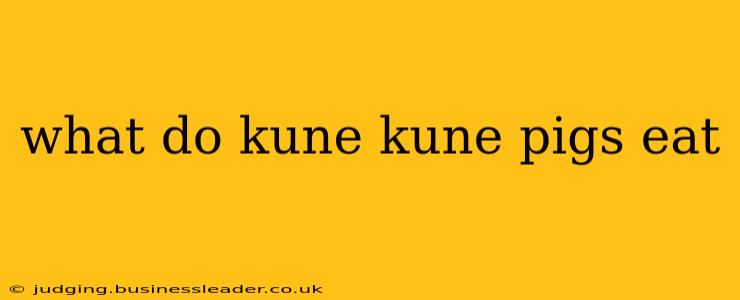 what do kune kune pigs eat