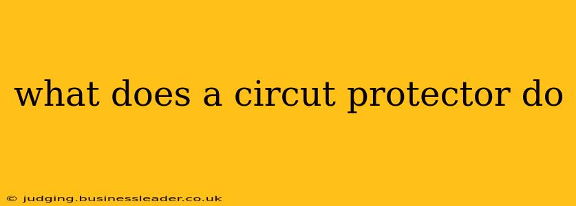 what does a circut protector do