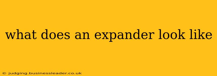 what does an expander look like