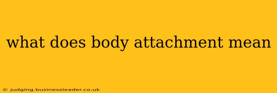 what does body attachment mean