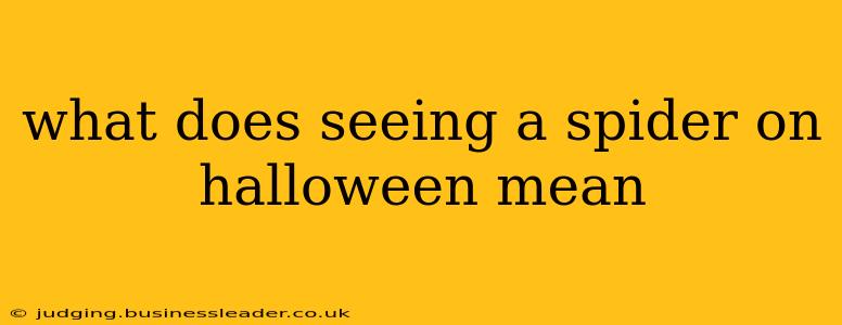 what does seeing a spider on halloween mean