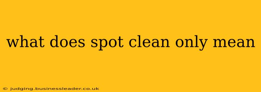 what does spot clean only mean
