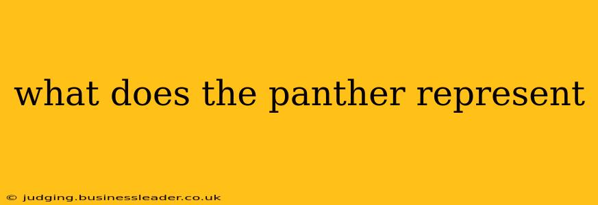 what does the panther represent