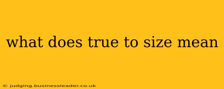 what does true to size mean