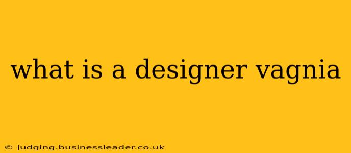 what is a designer vagnia