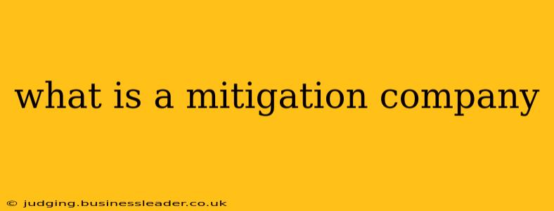 what is a mitigation company