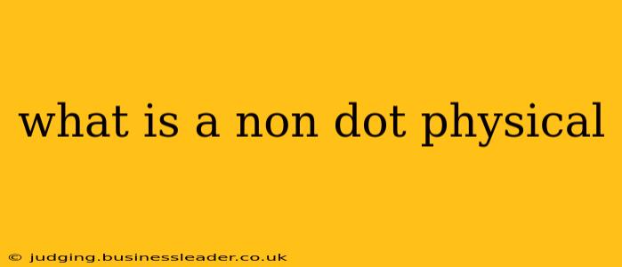 what is a non dot physical