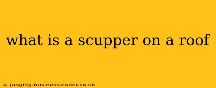 what is a scupper on a roof