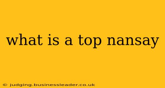 what is a top nansay