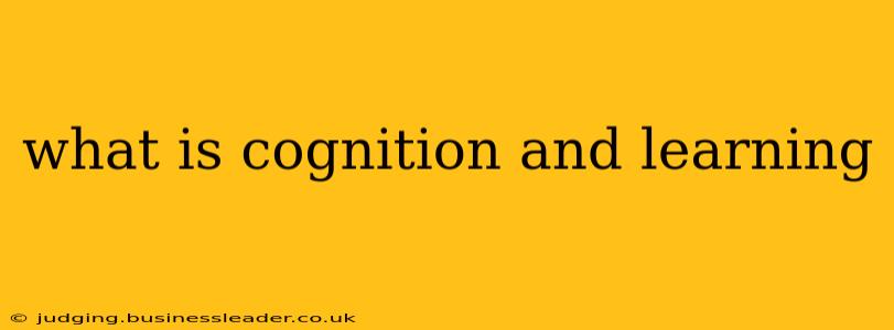 what is cognition and learning