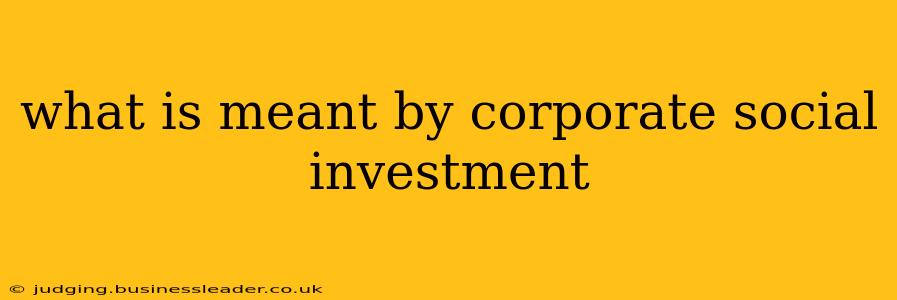 what is meant by corporate social investment