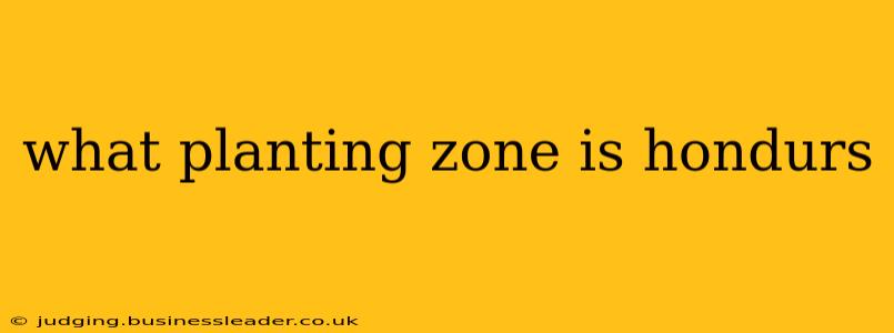 what planting zone is hondurs