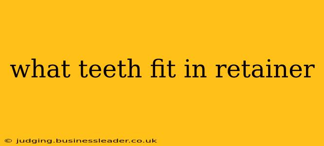 what teeth fit in retainer