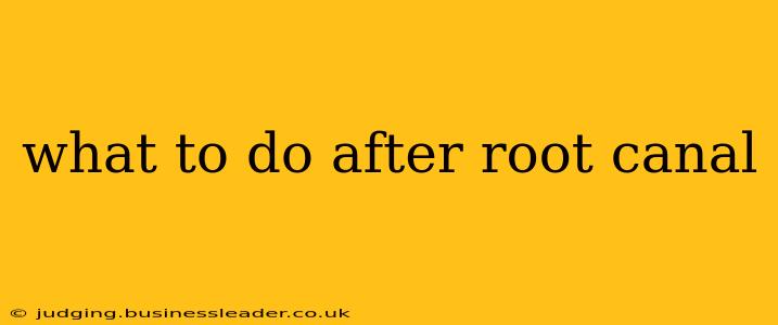 what to do after root canal
