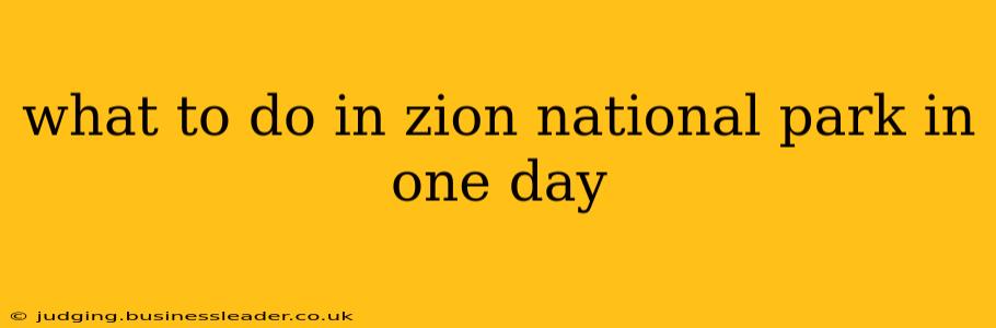 what to do in zion national park in one day