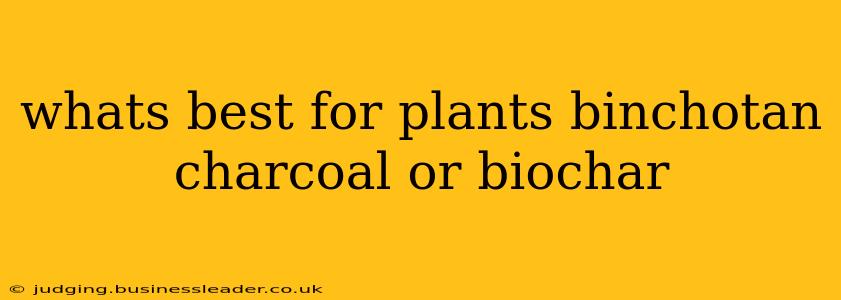 whats best for plants binchotan charcoal or biochar