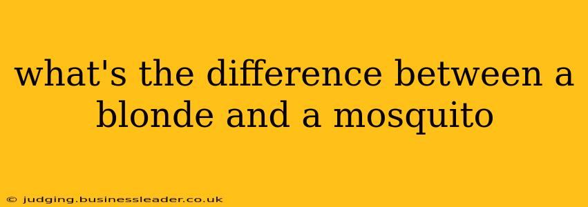 what's the difference between a blonde and a mosquito