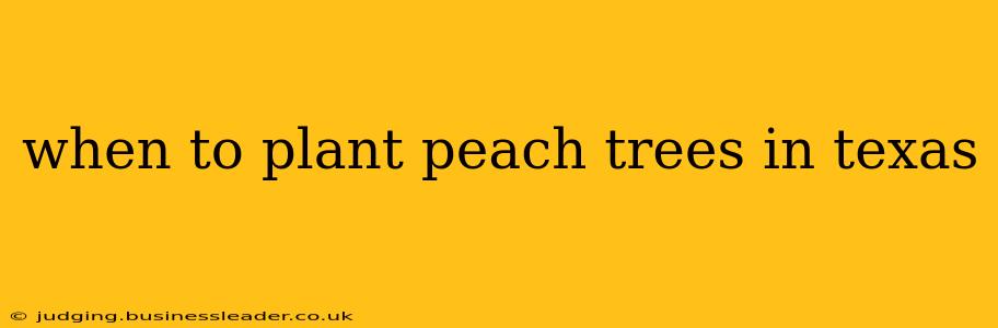 when to plant peach trees in texas