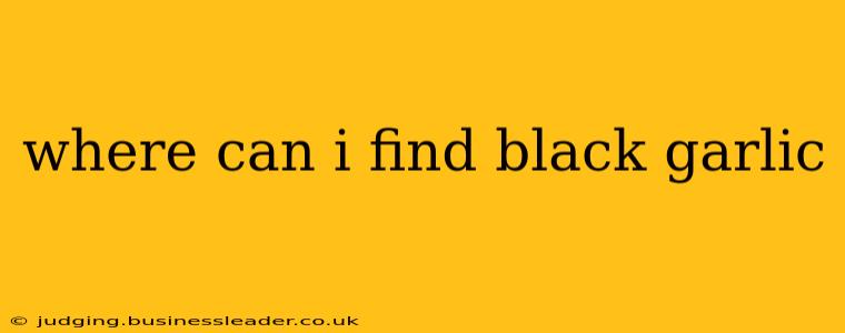 where can i find black garlic