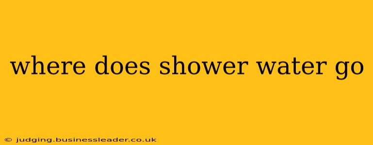 where does shower water go
