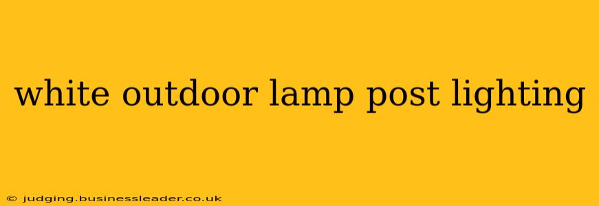 white outdoor lamp post lighting