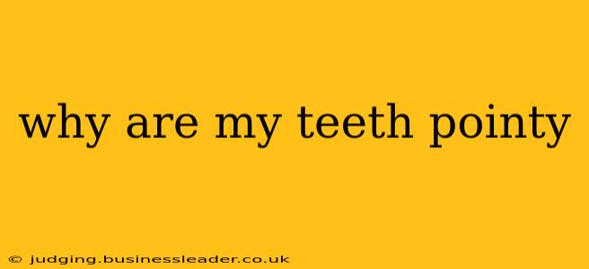 why are my teeth pointy