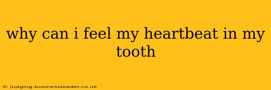 why can i feel my heartbeat in my tooth