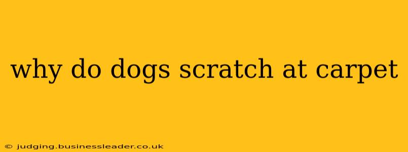 why do dogs scratch at carpet