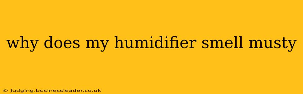 why does my humidifier smell musty